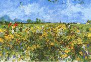 Green Vineyard